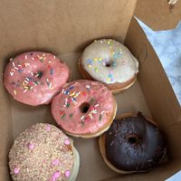   at Bitchin Donuts in Albany