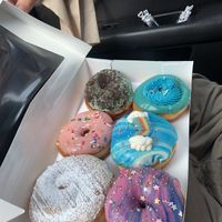   at Bitchin Donuts in Albany