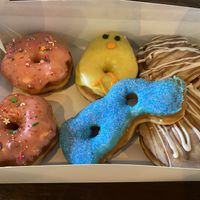   at Bitchin Donuts in Albany