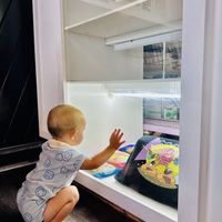   at Bitchin Donuts in Albany