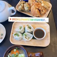 Soups, steamed dumplings and fried sampler  at Green Elephants Thai Vegan in Watkins Glen