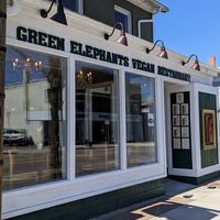 at Green Elephants Thai Vegan in Watkins Glen
