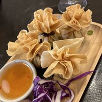 Appetizer   at Green Elephants Thai Vegan in Watkins Glen