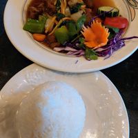 Wonderful tender mock duck seitan at Green Elephants Thai Vegan in Watkins Glen