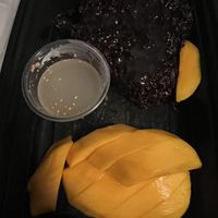 Mango sticky rice dessert   at Green Elephants Thai Vegan in Watkins Glen