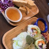 summer rolls & fried tofu   at Green Elephants Thai Vegan in Watkins Glen