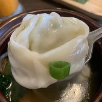 Dumpling in the Wonton soup  at Green Elephants Thai Vegan in Watkins Glen