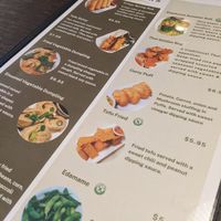 Portion of their menu at Green Elephants Thai Vegan in Watkins Glen