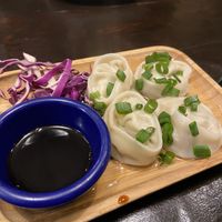 Steamed dumplings  at Green Elephants Thai Vegan in Watkins Glen