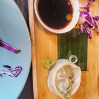 Dumplings at Green Elephants Thai Vegan in Watkins Glen