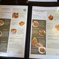 menu page 4-5  at Green Elephants Thai Vegan in Watkins Glen