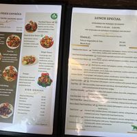 menu page 6-7  at Green Elephants Thai Vegan in Watkins Glen