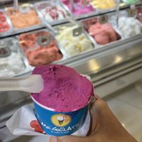   at Mr. Gelato in Prague