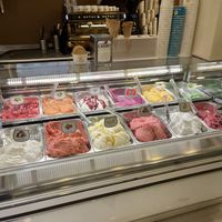   at Mr. Gelato in Prague