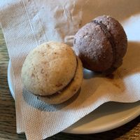   at Radicetonda - Via Spallanzani in Milan