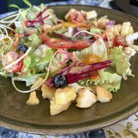   at Green Hand Vegetarian and Vegan Food in Chiang Mai