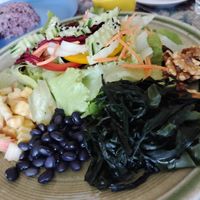  at Green Hand Vegetarian and Vegan Food in Chiang Mai