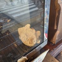  at Taiyaki Namihei たい焼きなみへい in Kamakura