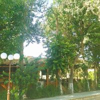 Foto from the café across the street at Chalet  in Bukhara