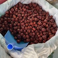 Dried  silverberry  at Pazartesi Pazarı Oba in Antalya