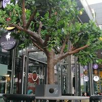 Seating area outside in Restopark at PLANTS Kitchen & Bar in Almaty