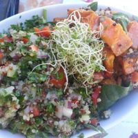 Quinoa salad and roast vegetable salad. at Manna Haven in Byron Bay
