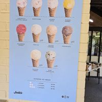 Plant-based ice cream options at Box Hill Café in Tadworth