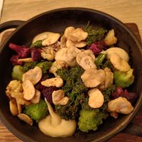  at The Bishop in Leiden