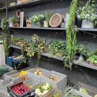   at Forgan's in St Andrews