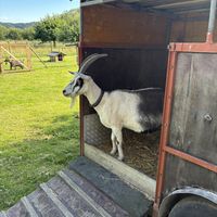   at Lebenshof TierMensch in Huentwangen