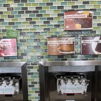 Chocolate and raspberry pomegranate vegan flavors  at Yogurtini in Glendale