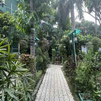   at Beatles Cafe in Rishikesh