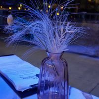  at The Wakery - Bar in Springfield