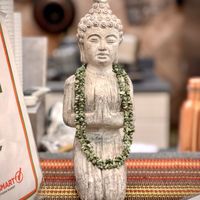   at Divine Leaf Vegan in Wesley Chapel