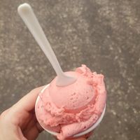 Raspberry Sorbet!  at Gingerlatis - Gelati and Dessert Bar in Yandina