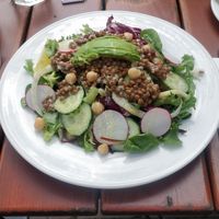 Very basic vegan salad at Le Pain Quotidien - Spuistraat in Amsterdam