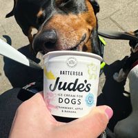 Plant based doggy ice cream  at Kapes Kiosk in Sidmouth