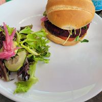 Homemade veggie burger featuring beets at Organic Farmers Table in Sarasota