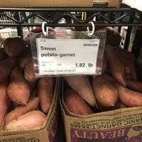 All produce labeled with price and origin...so many potato varieties you can’t find easily elsewhere (Japanese, purple) at Park Slope Food Co-op in Brooklyn