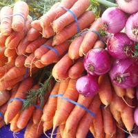  at Ferry Plaza Farmers Market in San Francisco