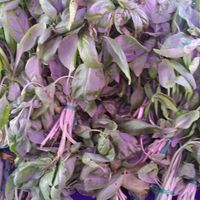  at Ferry Plaza Farmers Market in San Francisco