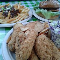Fantastic junk: burger, chili fries and fish n chips! at Healthy Junk in Anaheim