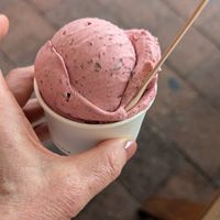 Mixed berry vegan ice cream 😀 at Bella Rosa Gelateria in Byron Bay