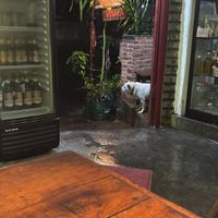 Leuke hondjes hier  at Bula Vinaka Ubud in Ubud