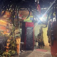 Saying goodbye to the dogs!  at Bula Vinaka Ubud in Ubud