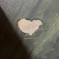 Wall detail  at VÜMO in Porto