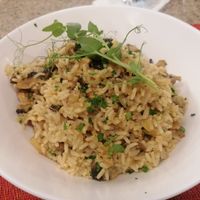 Riso funghi at Bistro 516 in Valletta