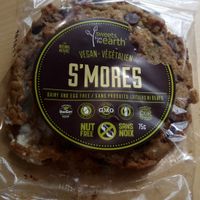 S'mores Cookie! at Sweets from the Earth in Toronto