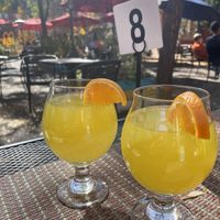 Kombucha and Bounty Bowl with Veggie Burgers  at Rainbow Restaurant in Fort Collins