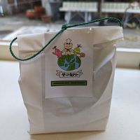 Cute to-go bag at Moonggoojeom Vegan Bakery in Busan